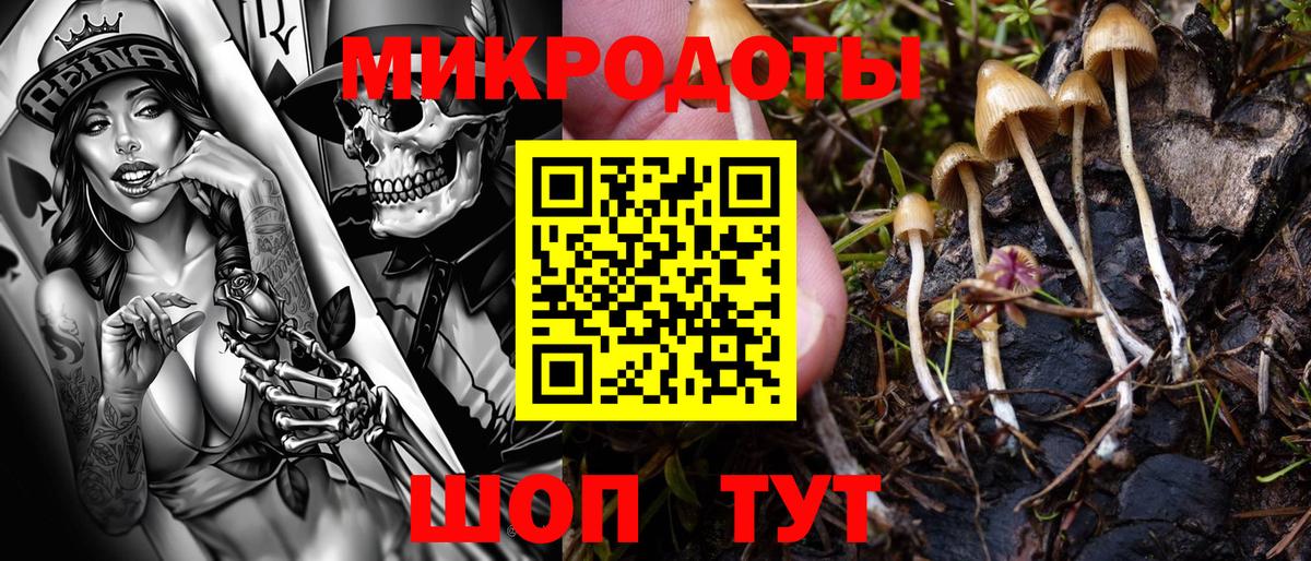 Галлюциногенные грибы Cubensis  Вход с VPN  Белгород 