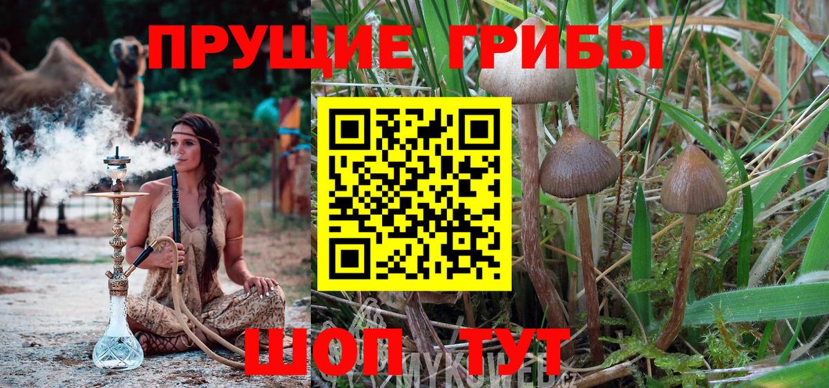 Галлюциногенные грибы Magic Shrooms Белгород